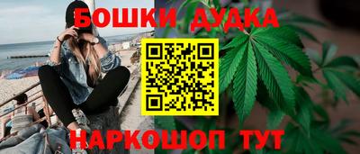 spice Моздок