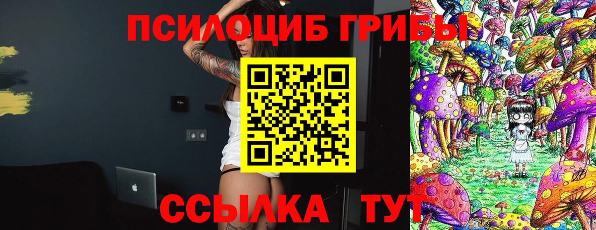 Галлюциногенные грибы мицелий Печора