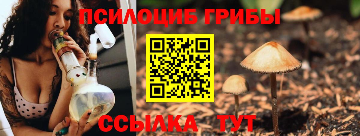 Галлюциногенные грибы Psilocybine cubensis  закладки  Печора  Вход с VPN 